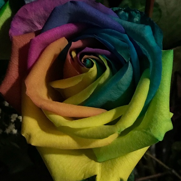 Meet your Posher, Barbara - Picture 1 of 1